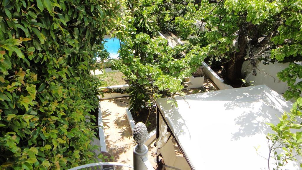Casa Amarela Guesthouse Lagos Cameră foto